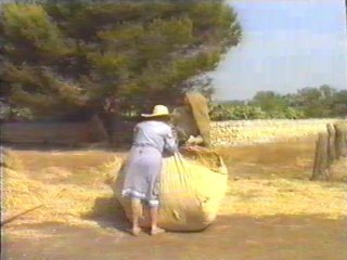 CAMPO - (85)